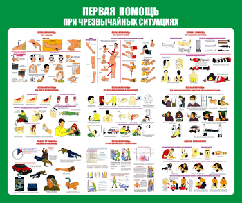 С20-1 Стенд Оказание первой помощи при ЧС (670х800 мм, пластик ПВХ 3 мм, Прямая печать на пластик) - Стенды - Стенды по первой медицинской помощи - ohrana.inoy.org
